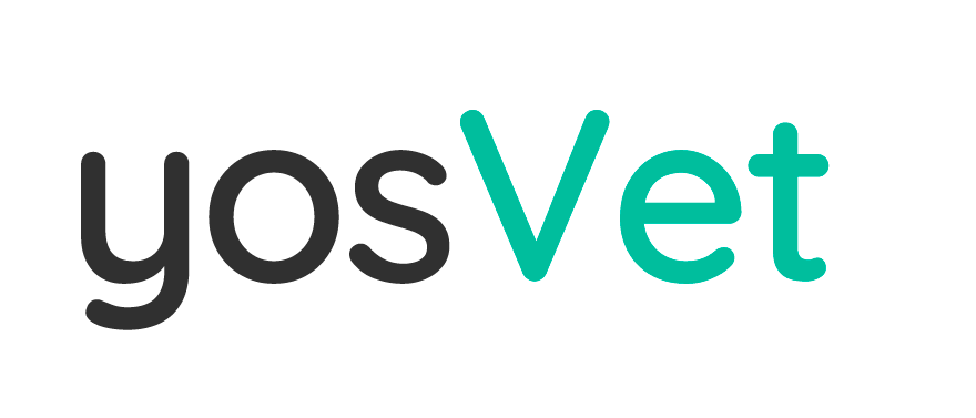 yosvet Logo